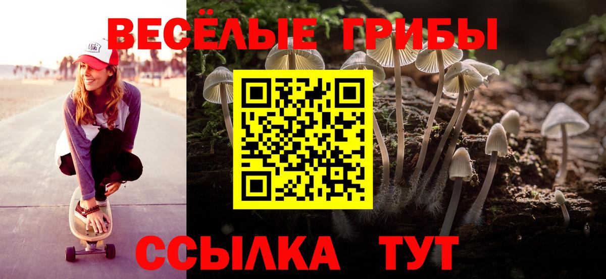 Коркино  Галлюциногенные грибы Psilocybe  Вход с VPN 